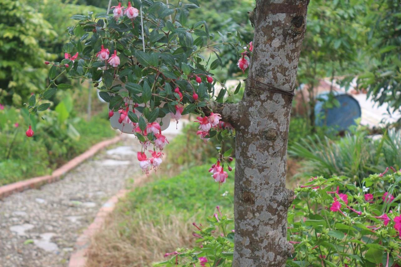 Thang Nam Ruc Ro - Dalat Homestay Luaran gambar